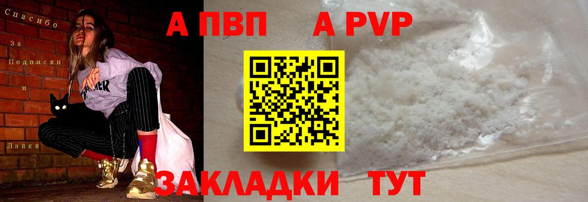 A PVP СК Советская Гавань