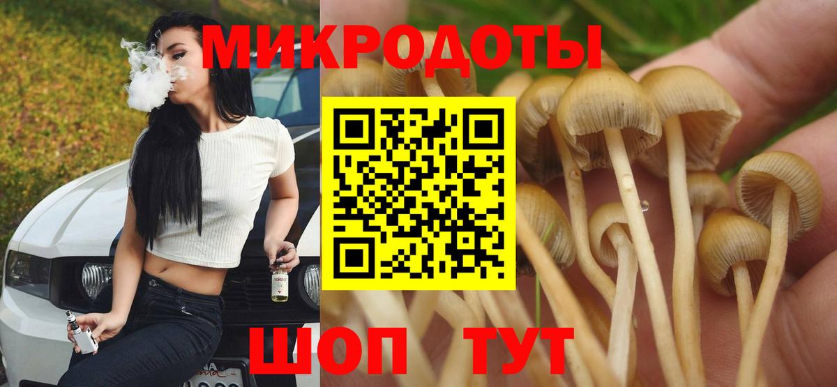 Псилоцибиновые грибы MAGIC MUSHROOMS  Вход с VPN  Советская Гавань 